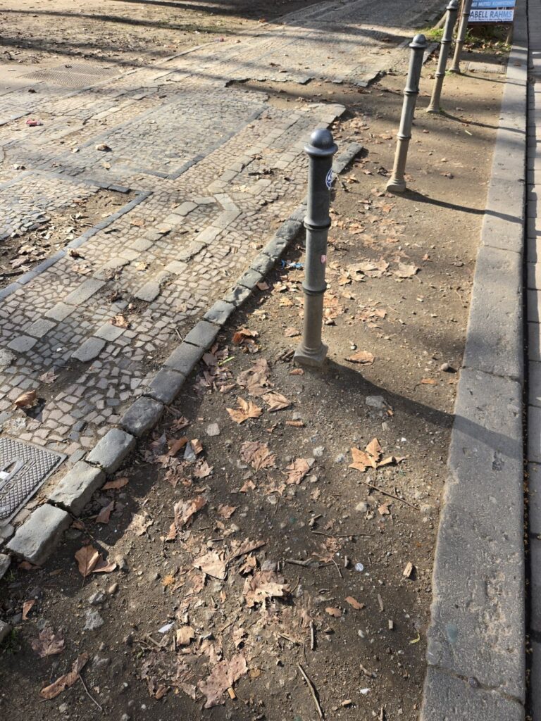 Mosaikpflaster auf Mittelstreifen der Kaiserstraße beschädigt.